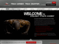 intelligentathleteacademy.com