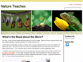 natureteaches.com