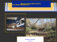 reemastbernards.com