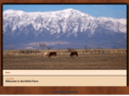 bonfieldfarm.com