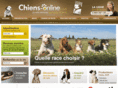 chiots-online.com