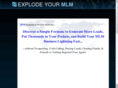 mlmleads-wealth.com