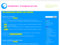 brainbureau.com