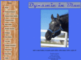 dynamicinblue.com