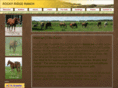 rocky-ridge-ranch.com
