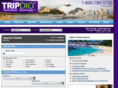 bizflight.info