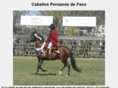 caballosperuanos.com.ar