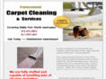 cleancarpetdallas.com