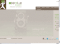 delville-management-de-transition.com
