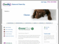 diamondchemdry.com