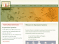expressionsystems.com