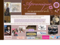 aproniquestore.com