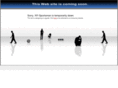 ny-sportsman.com
