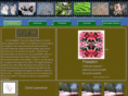 outdoorstudiocl.com