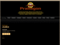 prallagon.com