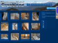 discovery-metal-creations.com