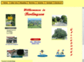 berlingsen.com