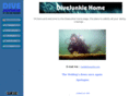 divecity.co.uk