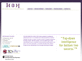 iconconsultants.com
