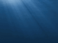 marinaatemeraldbay.com