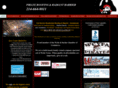 pirateroofingtx.com