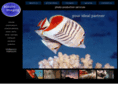 azzurro-imaging.com