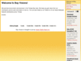 bayvisions.com