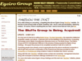 bluffsgroup.com