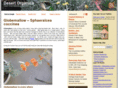 desertorganics.com