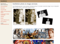 fotonotion.com