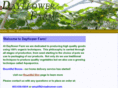 dayflowerfarm.net