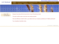 lvglobal.com