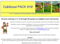 pack919.com