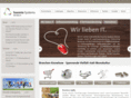 saxsys.com