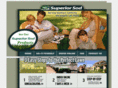 superiorsod.com