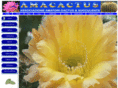 amacactus.it