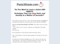panicminute.com