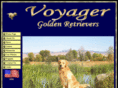 voyagergoldens.com