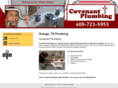 covenantplumbingbeaumont.com