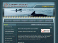dominantdesigns.com