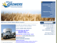 sdwg.com