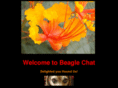 beaglechat.com