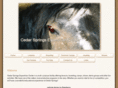 cedarspringsequestriancenter.com