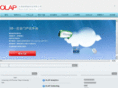 chinaolap.com