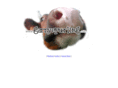 garryspurling.com