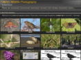 markswildlife.com