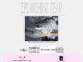 srsfishinggear.com