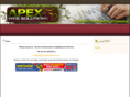 apexwebsolutions.com