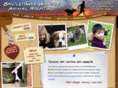 bridletownewardenanimalhospital.com