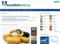 excellentsource.com